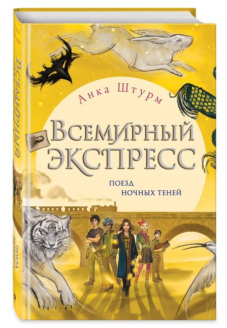 Фотография книги "Аика Штурм: Всемирный экспресс. Поезд ночных теней (#2)"