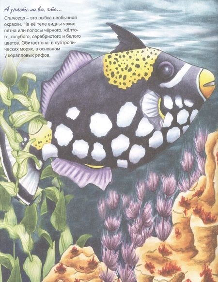 Фотография книги "Аквариумные рыбки"