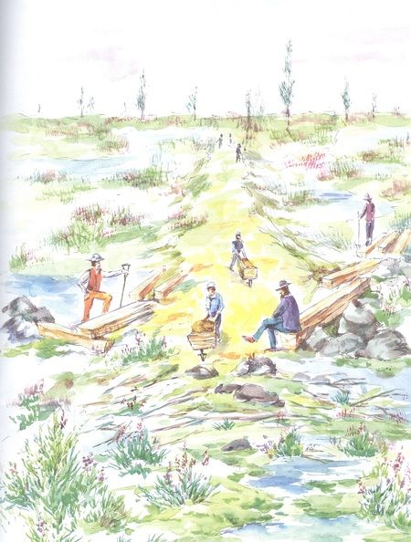 Фотография книги "Алдонина: Джордж Стефенсон. Отец железных дорог"