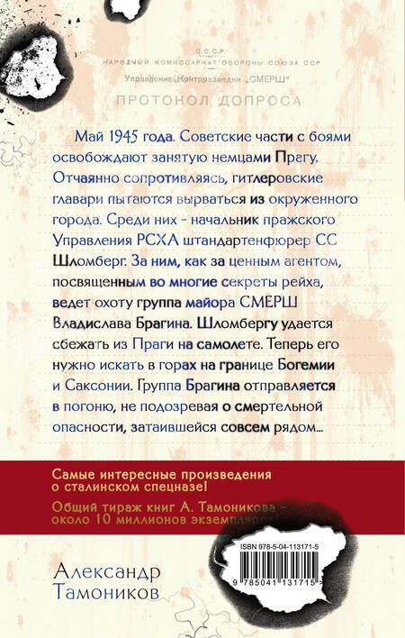Фотография книги "Александр Александрович: Следы со свастикой"