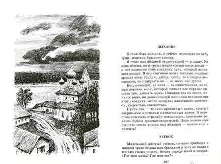 Фотография книги "Александр Солженицын: Матренин двор"