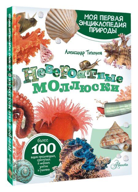 Фотография книги "Александр Васильевич: Моллюски, кораллы, морские звезды, морские ежи"