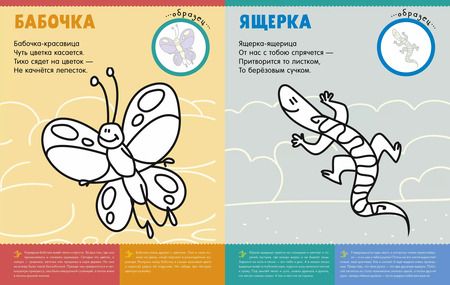 Фотография книги "Александра Бодрова: Первая раскраска с наклейками. Кто живет в лесу?"