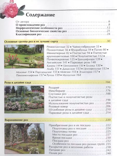 Фотография книги "Александра Ивановна: Розы"