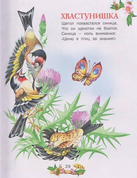 Фотография книги "Александровна, Николаевна, Шепелевич: Сказка за сказкой"