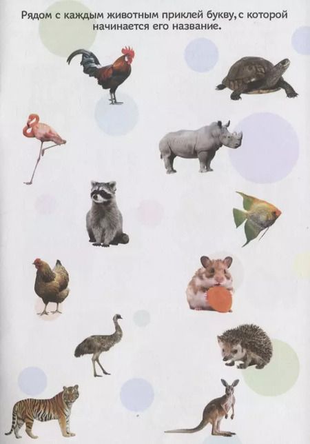 Фотография книги "Алфавит"