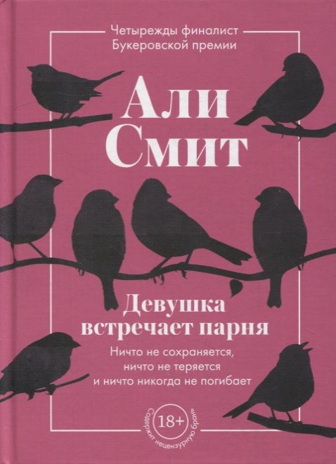 Обложка книги "Али Смит: Девушка встречает парня"