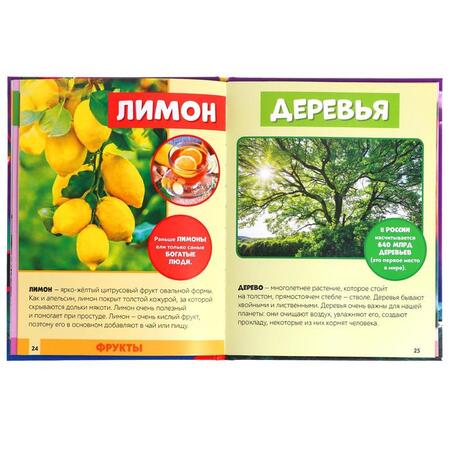 Фотография книги "Алёна Лядова: Фотоэнциклопедия для детей «Мир вокруг нас»"