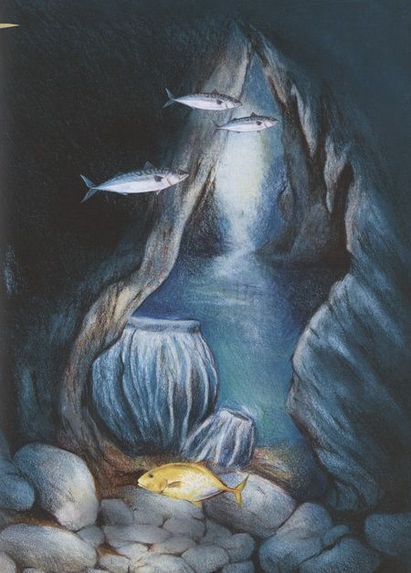 Фотография книги "Амманн: Чудо природы. История морской губки"