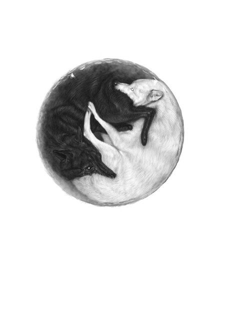 Фотография книги "Анастасия Худякова: Грим"