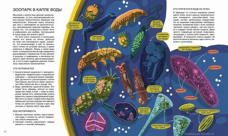 Фотография книги "Анастасия Волчок: Мир биолога Мечникова : Как разглядеть в микроскоп целый мир"