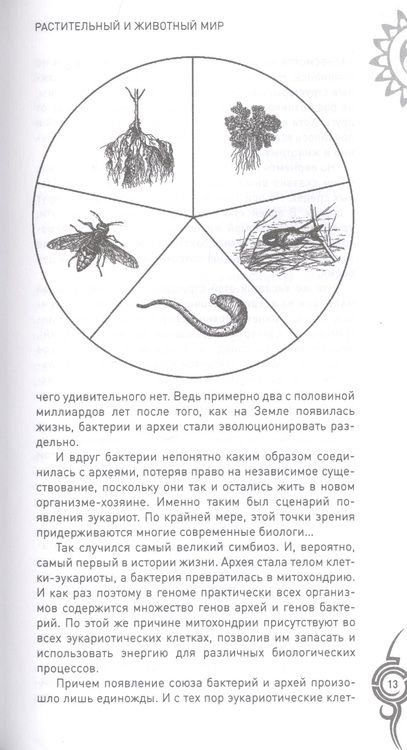 Фотография книги "Анатолий Бернацкий: Растительный и животный мир. Сотрудничество и взаимопомощь"