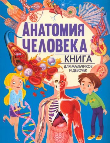 Обложка книги "Анатомия человека. Книга для мальчиков и девочек"