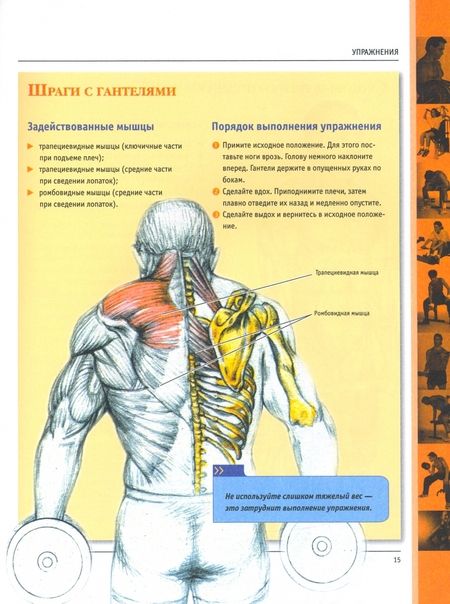 Фотография книги "Анатомия силовых упражнений для мужчин и женщин"