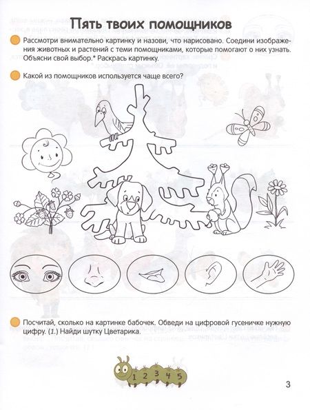 Фотография книги "Анда Петрикевич: Умней-ка. 4-5 лет. Знакомство с природой"