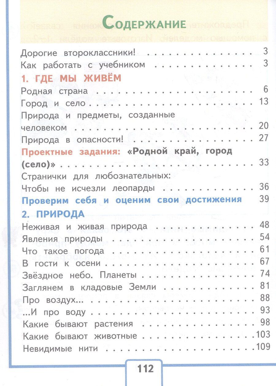 Обложка книги "Андрей Анатольевич: Окружающий мир. 2 класс. Учебное пособие. В четырех частях. Часть 1 (для слабовидящих обучающихся). ФГОС 2021"