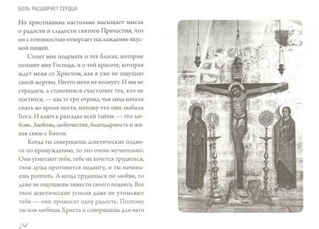 Фотография книги "Андрей Архимандрит: Боль расширяет сердца. Беседы о скорбях и болезнях"