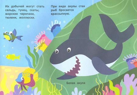 Фотография книги "Андрей Хотулев: Кто под водой живет? Волшебная книжка с клапанами"