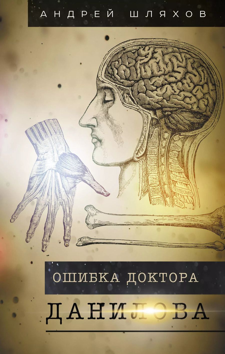 Обложка книги "Андрей Шляхов: Ошибка доктора Данилова"