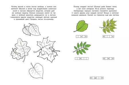 Фотография книги "Анджеевска, Земцова: Знакомимся с природой (5-6 лет)"