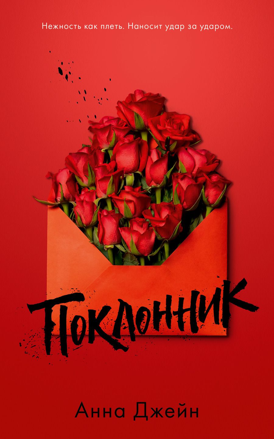 Обложка книги "Анна Джейн: Поклонник"