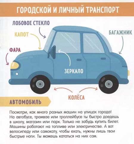 Фотография книги "Анна Парамонова: Найди и покажи, малыш. В мире транспорта"