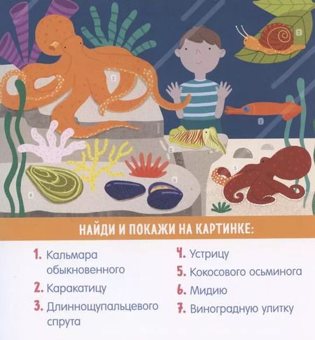 Фотография книги "Анна Парамонова: Найди и покажи, малыш. В мире животных"