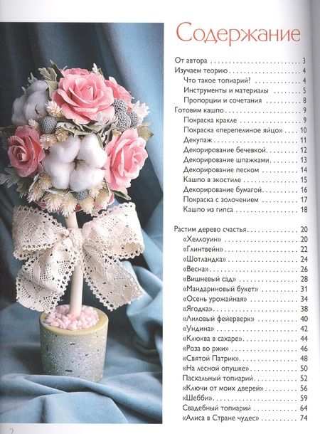 Фотография книги "Анна Рапопорт: Реки, каналы, мосты Петербурга"