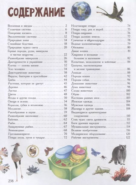 Фотография книги "Анна Спектор: Детская энциклопедия в 2000 иллюстраций, которые можно рассматривать целый год"