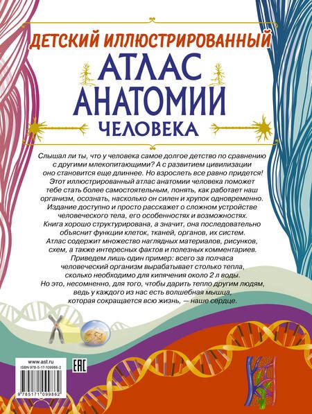 Фотография книги "Анна Спектор: Детский иллюстрированный атлас анатомии человека"