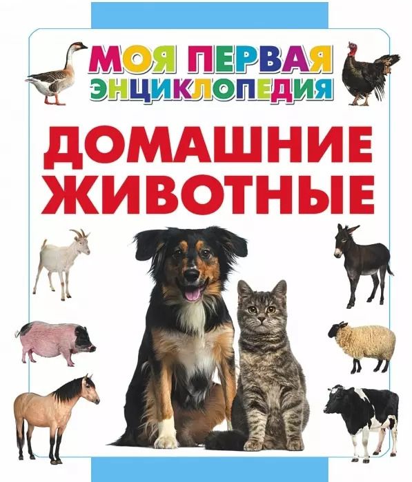 Обложка книги "Анна Спектор: Домашние животные"