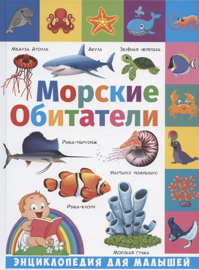 Обложка книги "Анна Забирова: Энциклопедия для малышей. Морские обитатели"