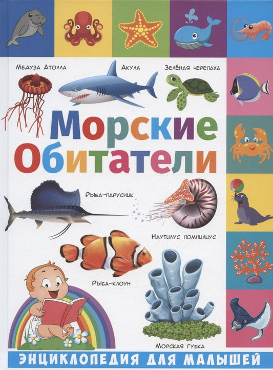 Обложка книги "Анна Забирова: Энциклопедия для малышей. Морские обитатели"