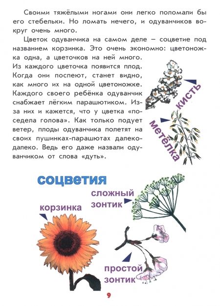 Фотография книги "Антонина Лукьянова: Настоящая ботаника для мальчиков и девочек"