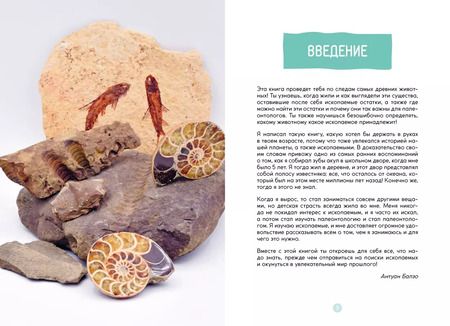 Фотография книги "Антуан Балзо: Древний мир. Окаменелости. Животные и растения. Наши предки"