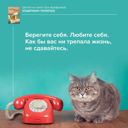 Фотография книги "Арефьева: Кошичкин тилипон. Правдиви истори о котиках и их никчемни. Экспресс-помощь для тех, кто застрял в рутине и ищет вдохновение"