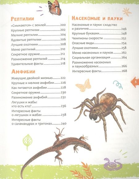 Фотография книги "Арредондо: Животные. Новая детская энциклопедия"