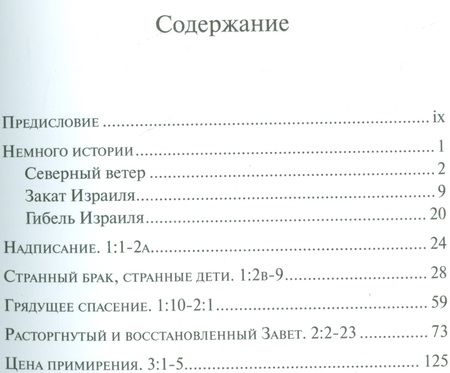 Фотография книги "Арсений Соколов: Пророк и блудница. Комментарий к 1-3 главам Книги пророка Осии"