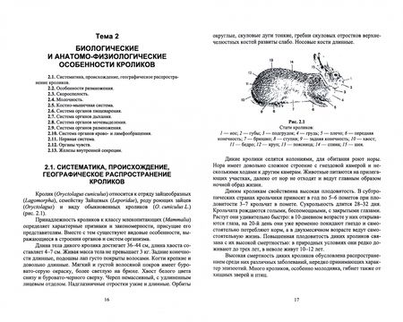 Фотография книги "Артем Агейкин: Технологии кролиководства. Учебник для СПО"