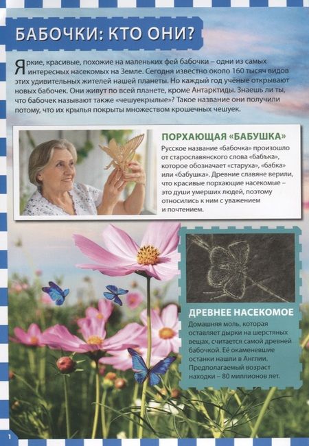 Фотография книги "Бабочки"