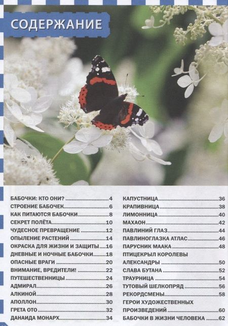 Фотография книги "Бабочки"