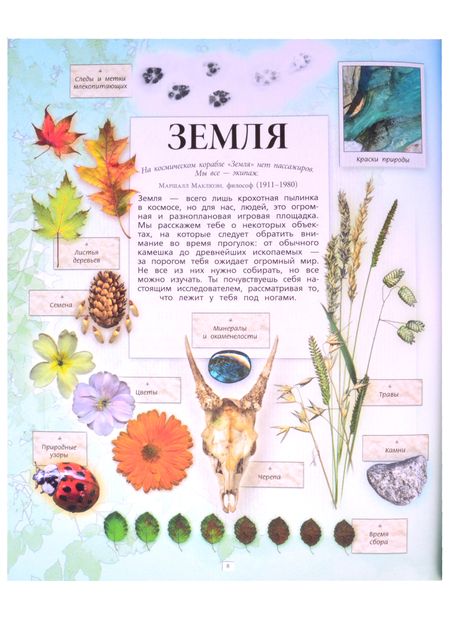 Фотография книги "Бакингем: Дневник юного натуралиста: скрапбук"