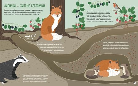 Фотография книги "Банфи, Перабони: Что внутри? Как устроены дома животных"