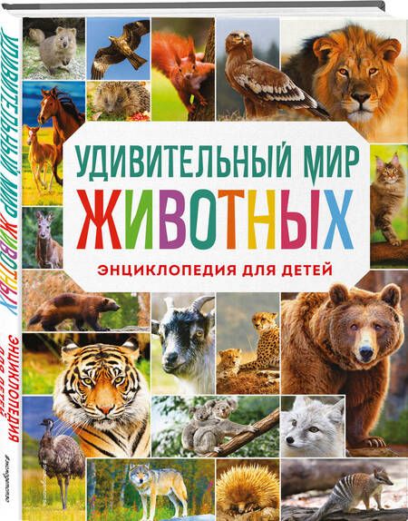 Фотография книги "Баранова: Удивительный мир животных. Энциклопедия для детей"