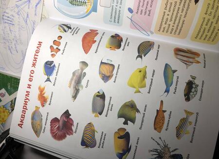 Фотография книги "Барановская, Ермакович, Лашкевич: 5000 "Что? Зачем? Почему?" в картинках, которые можно рассматривать целый год"