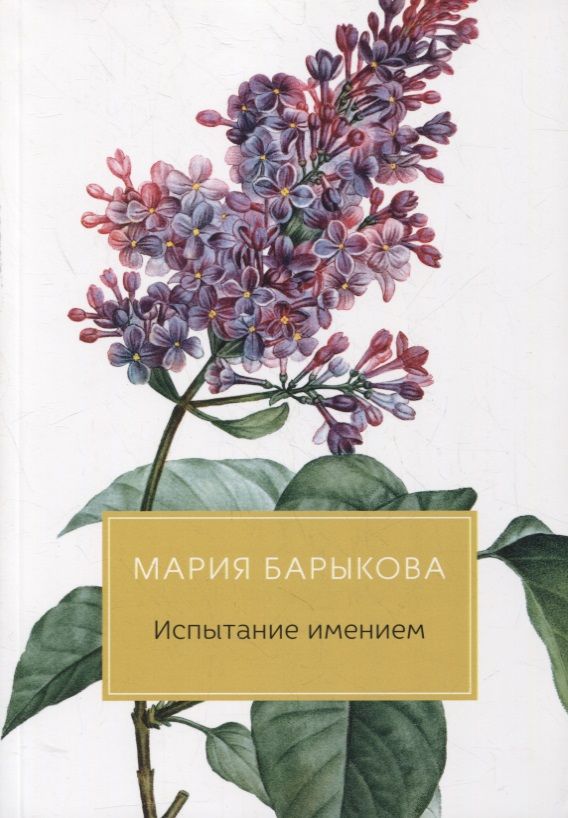 Обложка книги "Барыкова: Испытание имением"