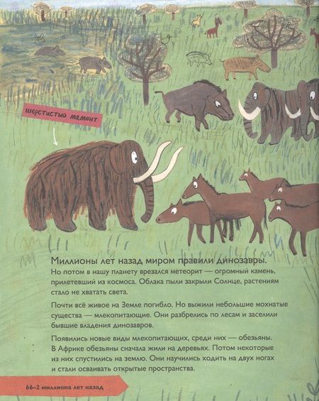 Фотография книги "Барр, Уильямс: История людей. Моя первая книга о человечестве"