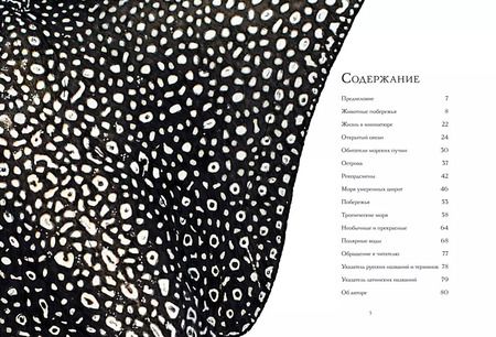 Фотография книги "Бен Ротери: Океан и его обитатели"