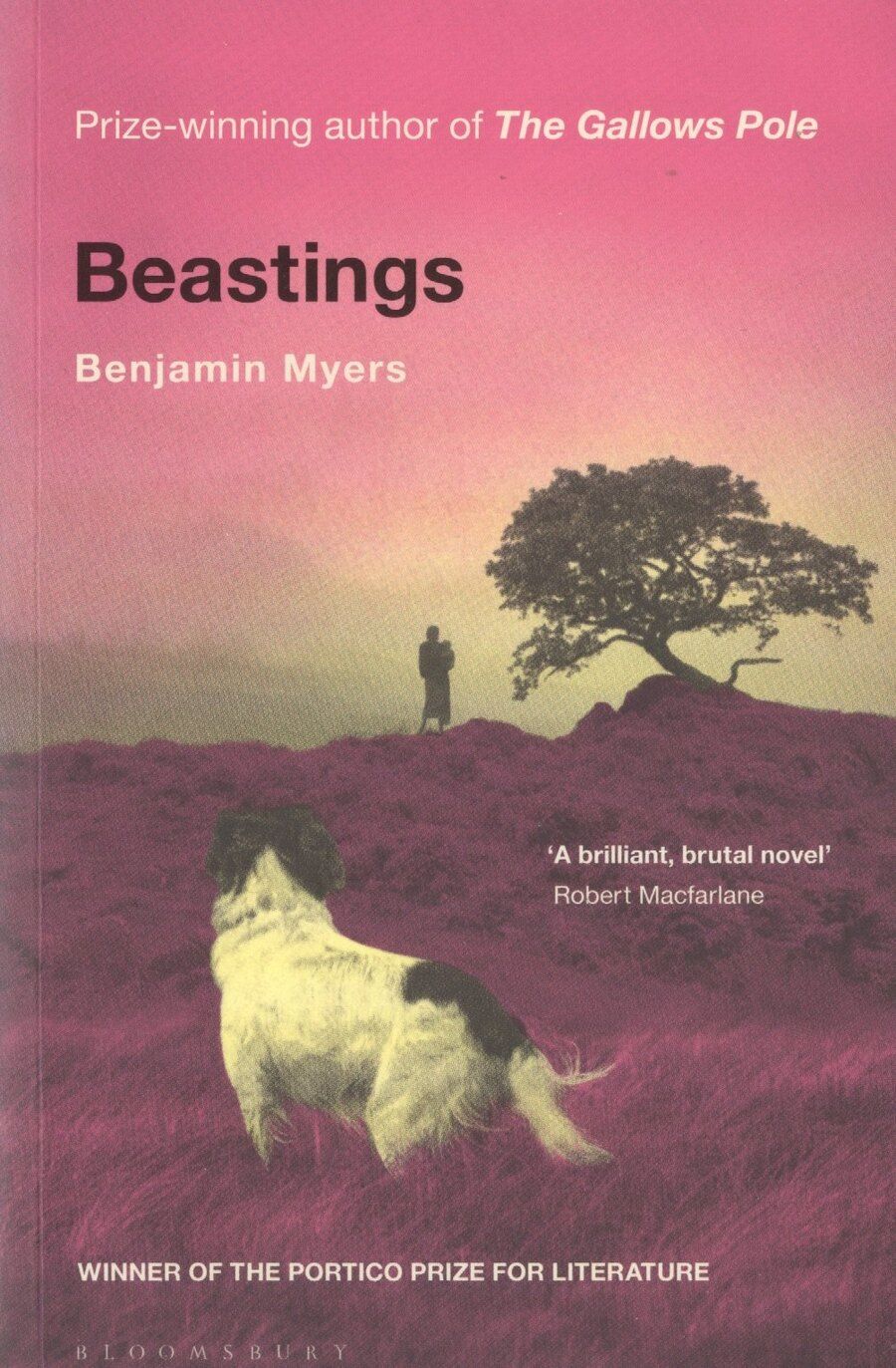 Обложка книги "Бенджамин Майерс: Beastings"
