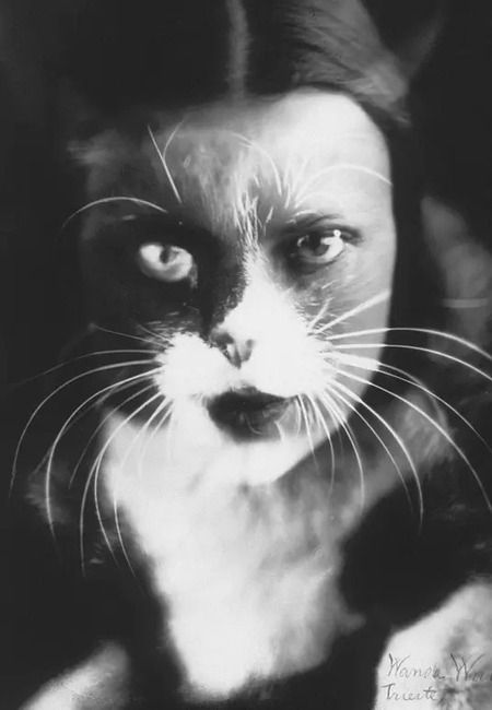 Фотография книги "Бестиарий: животные в ритуалах, искусстве и фольклоре"